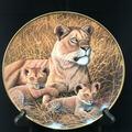 African Lioness and Cubs - National Wildlife Federation image 0