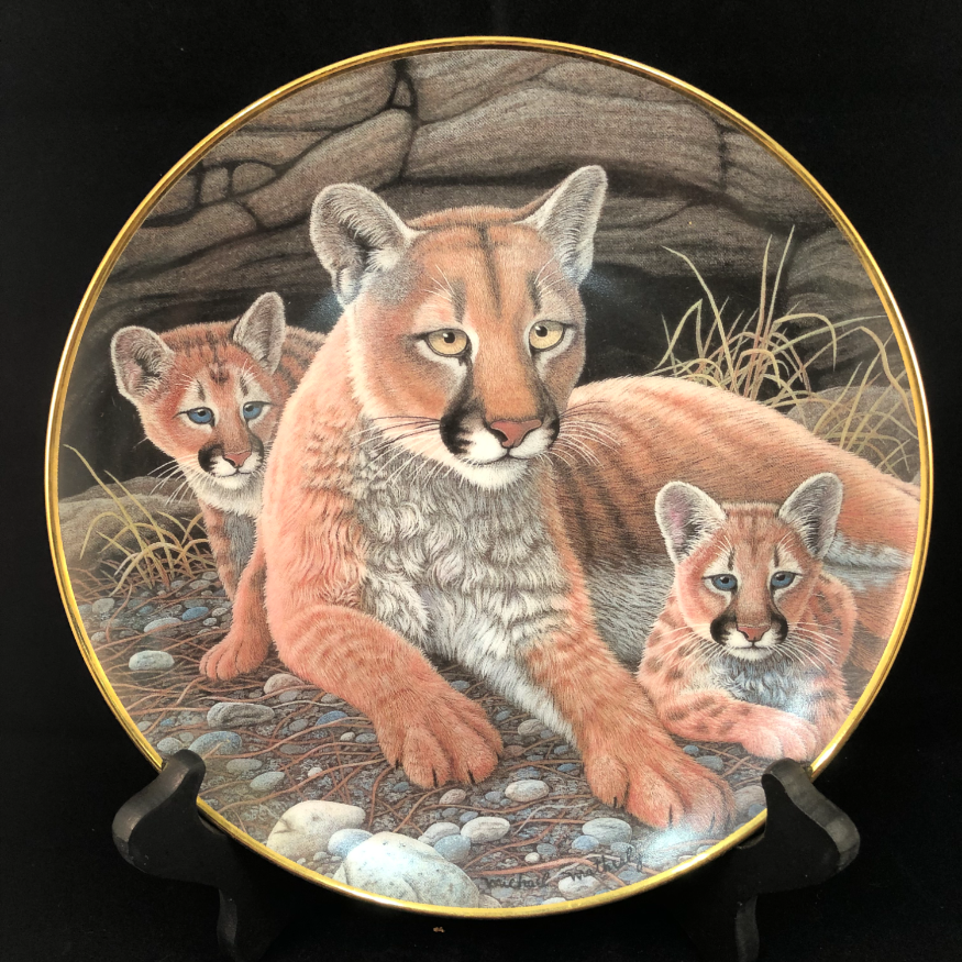 Mountain Lions - National Wildlife Federation image 0