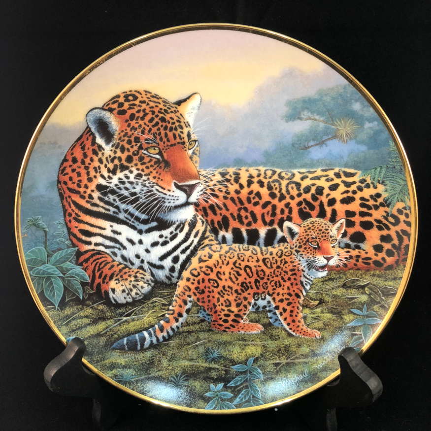 Jaguar and Cubs - National Wildlife Federation image 0