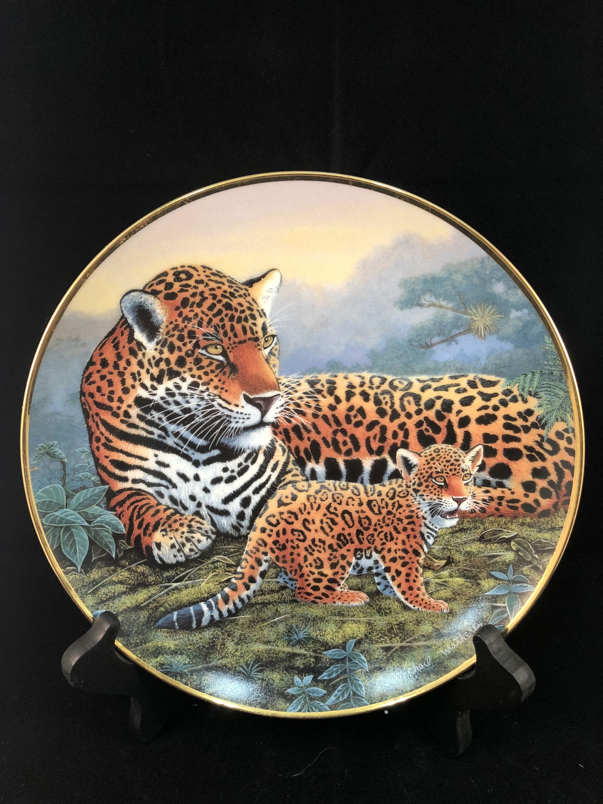 Jaguar and Cubs - National Wildlife Federation image 1