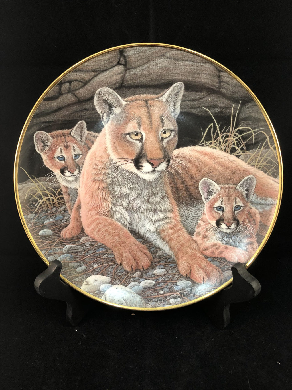 Mountain Lions - National Wildlife Federation image 1