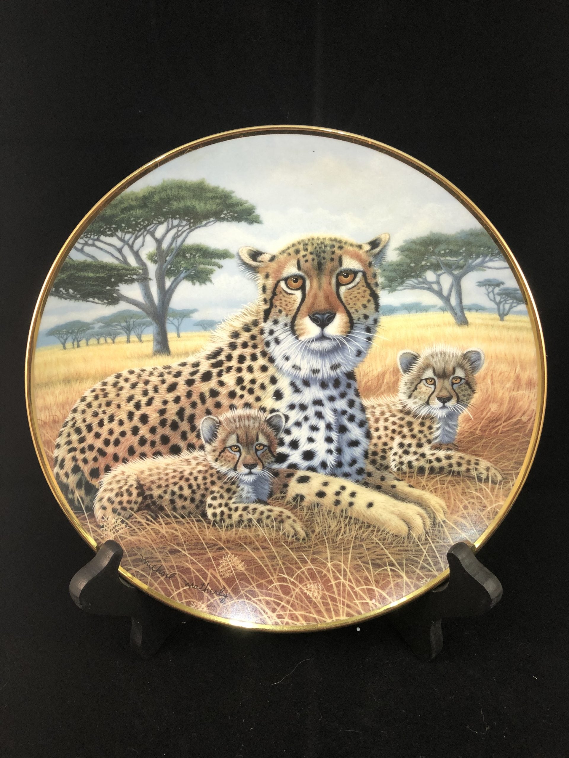 Cheetah and Cubs - National Wildlife Federation image 1