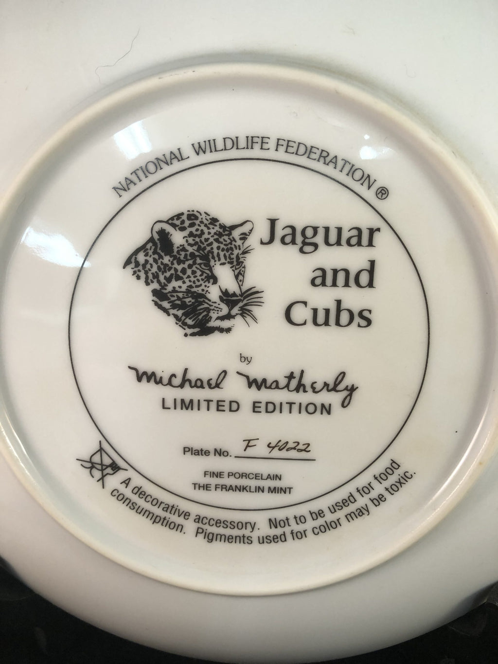 Jaguar and Cubs - National Wildlife Federation image 2
