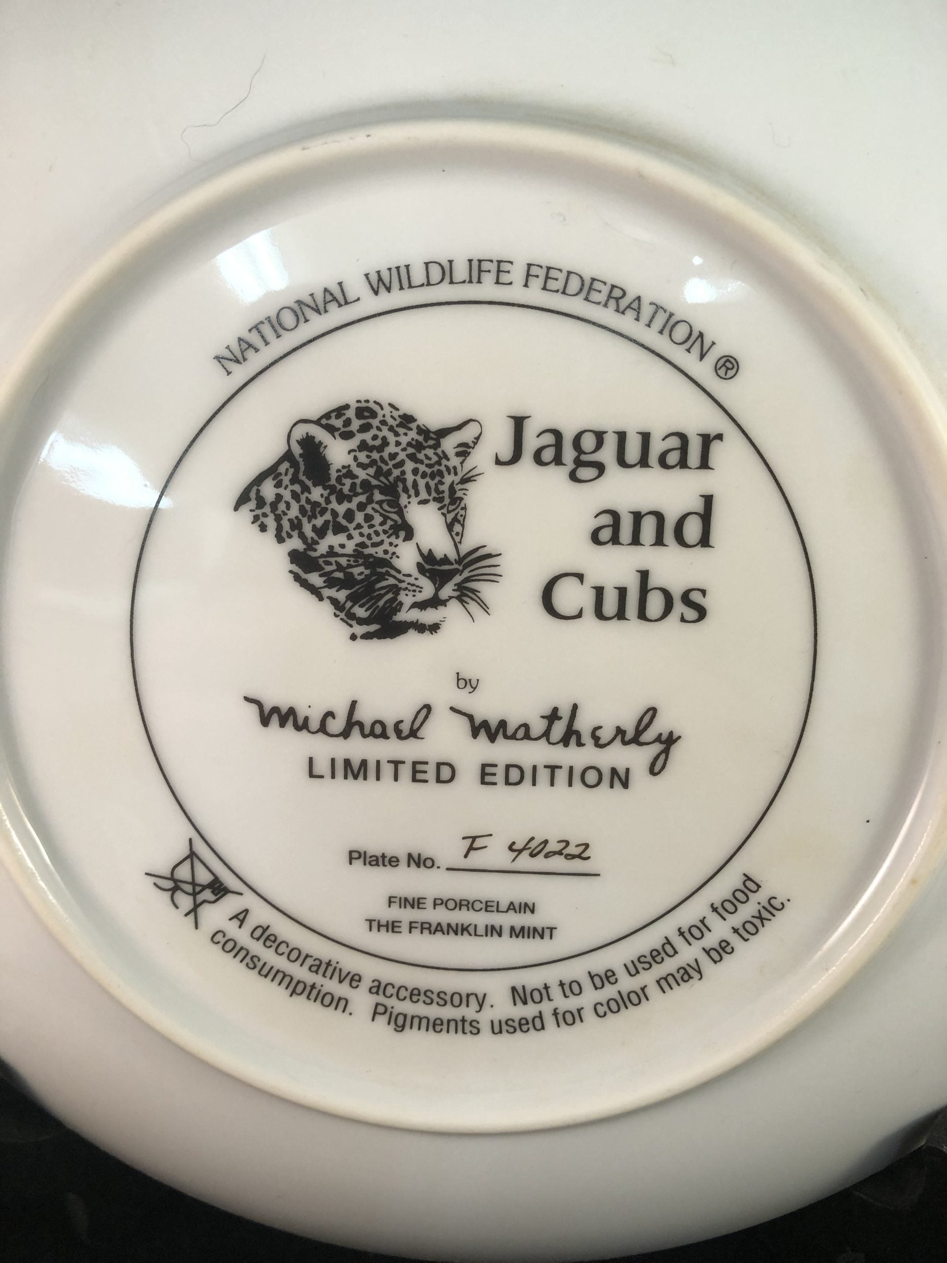 Jaguar and Cubs - National Wildlife Federation image 2