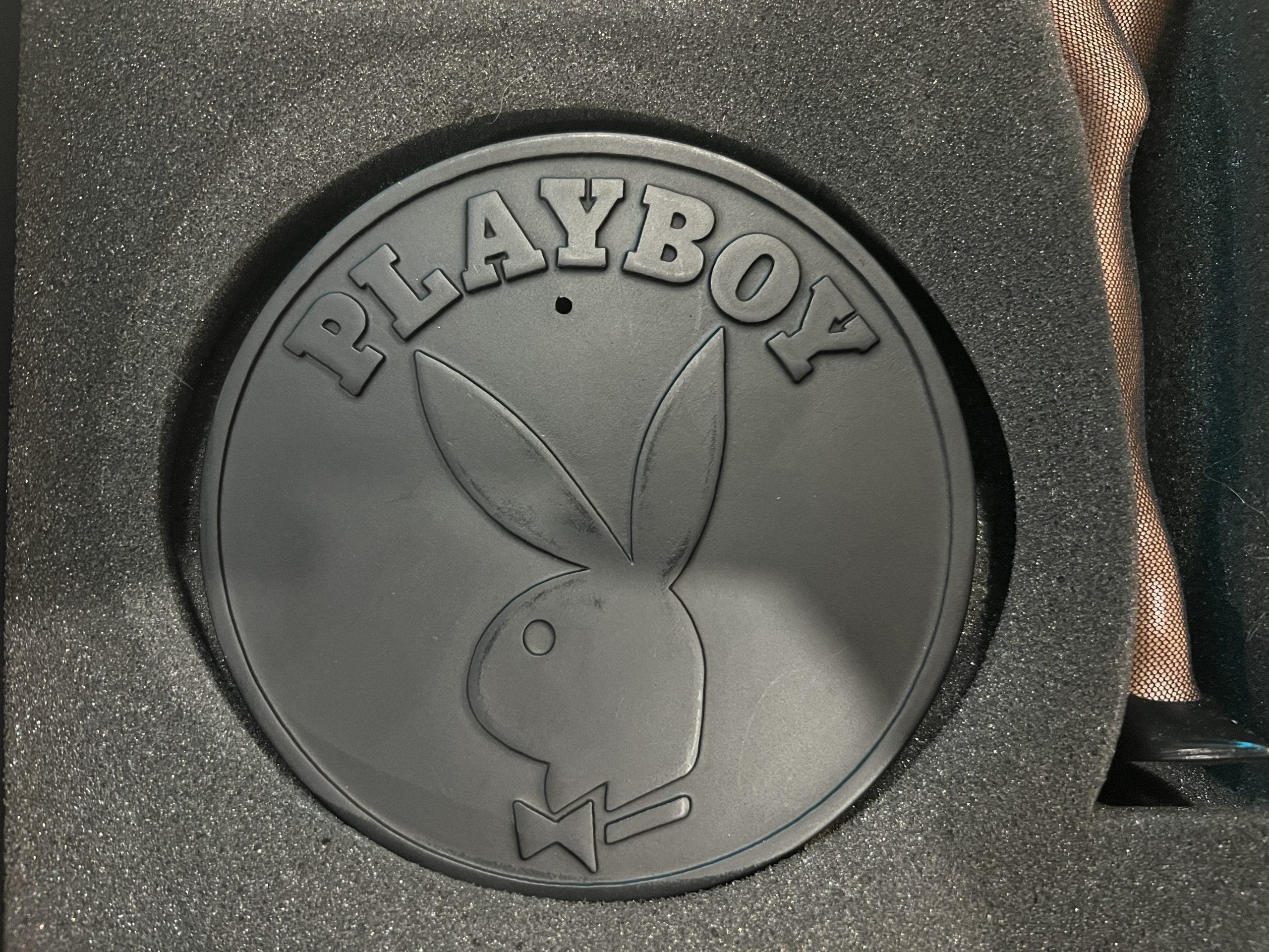 Ava Fabian - Playboy Playmates Doll! (18") image 5